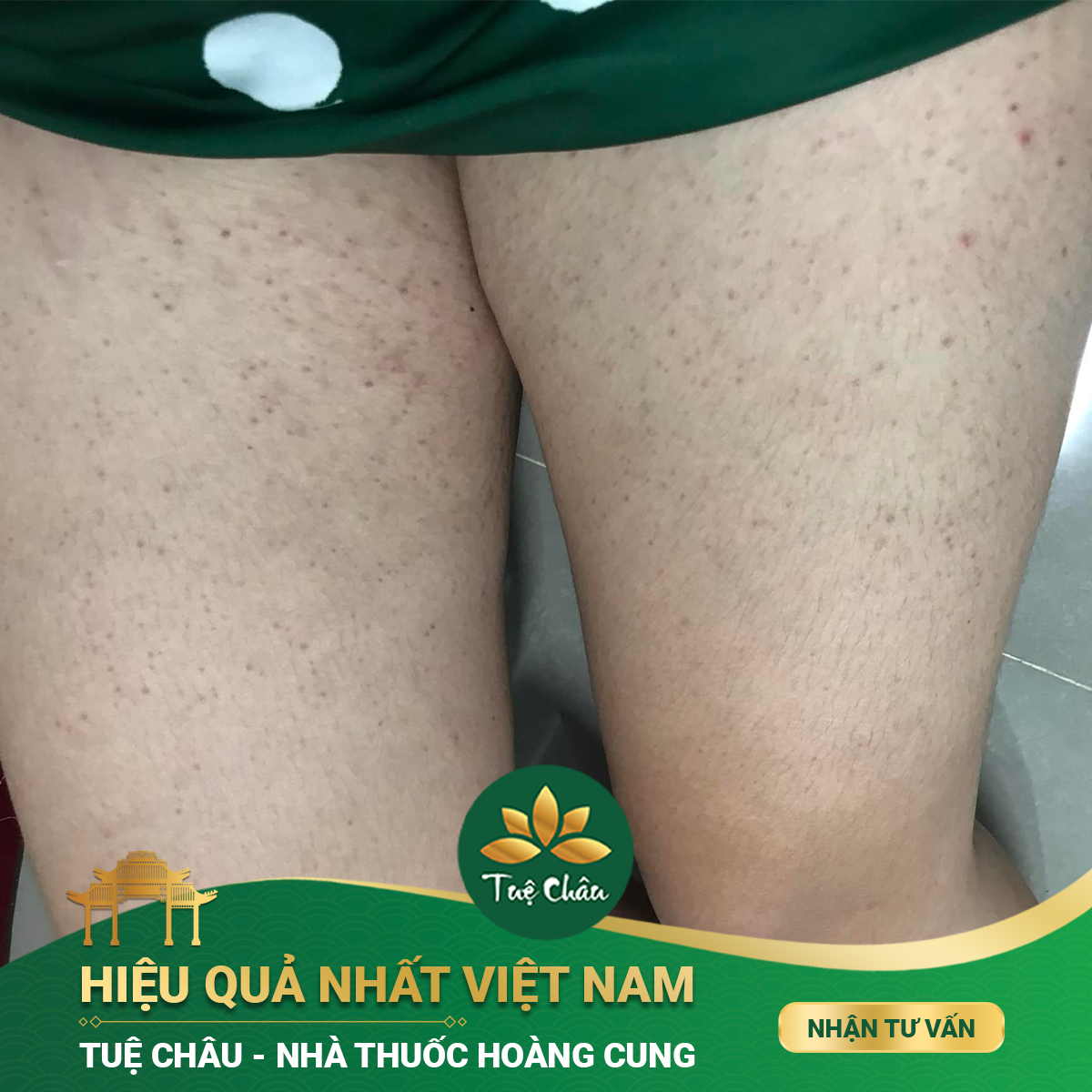 Vũ Hồng Giang